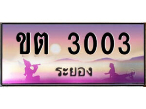 2.ทะเบียนสวยจังหวัดระยอง ขต 3003 เลขประมูล ทะเบียนรถใกล้ฉัน
