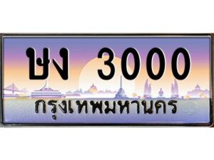 แอลป้ายทะเบียนรถ ษง 3000 เลขประมูล ทะเบียนสวย ษง 3000 ผลรวมดี 9