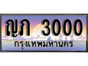 1.Okdee ทะเบียนรถ 3000 เลขประมูล ทะเบียนสวย - ญภ 3000