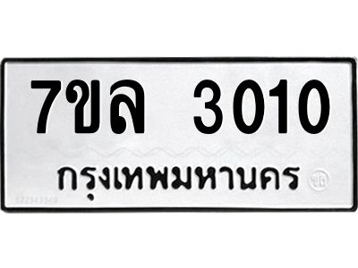 3010-1.jpg